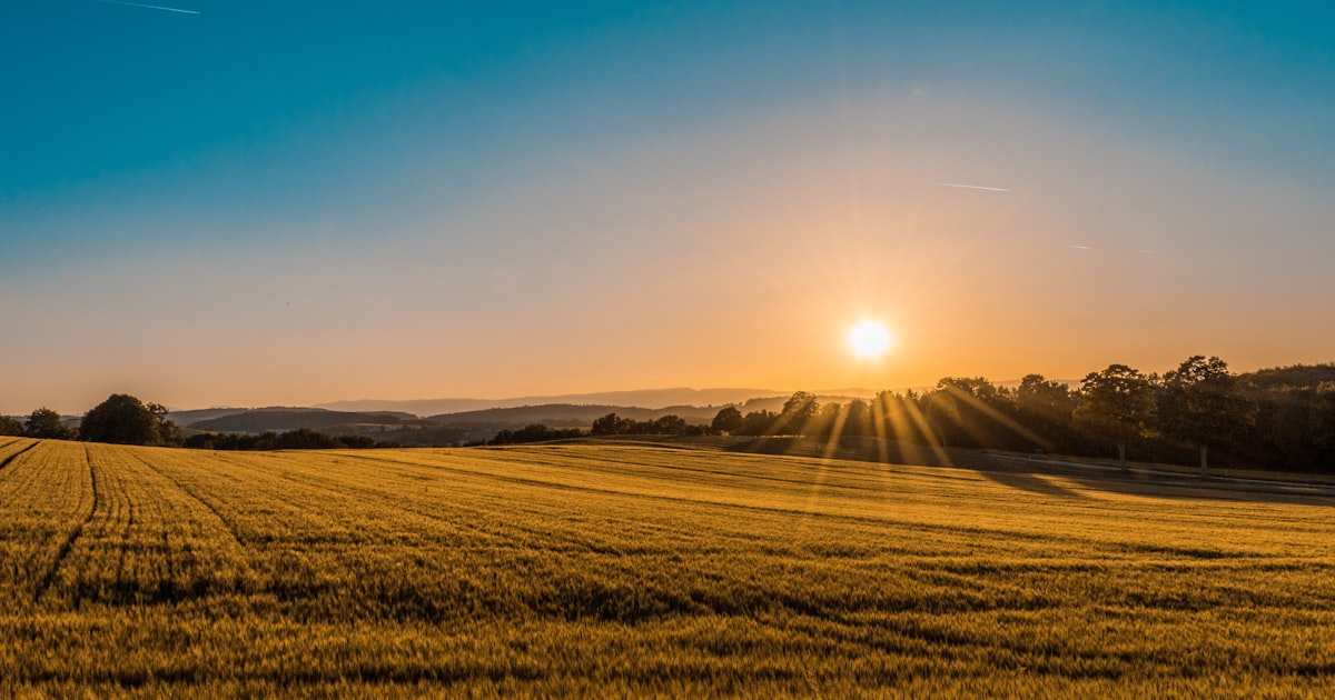 Mildura VIC Property Investment 2026: Sunraysia’s High-Yield Regional Market