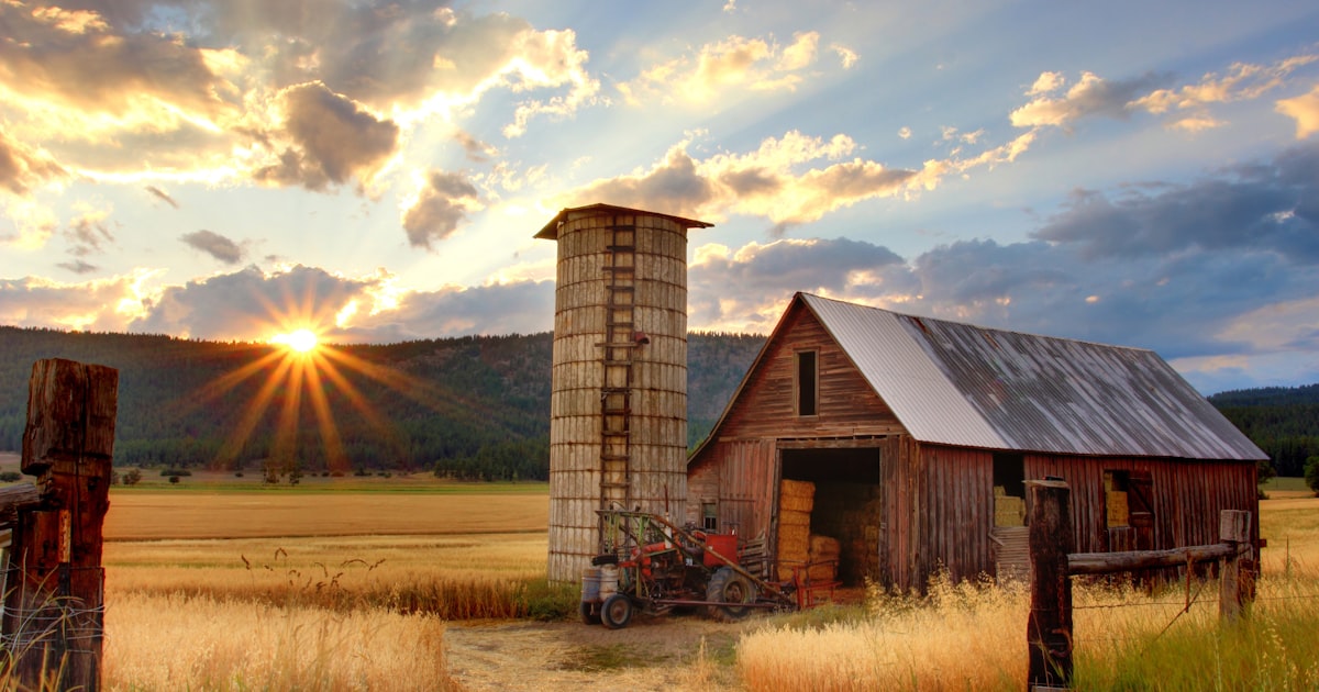 Shepparton VIC Property Investment 2026: The Complete Guide